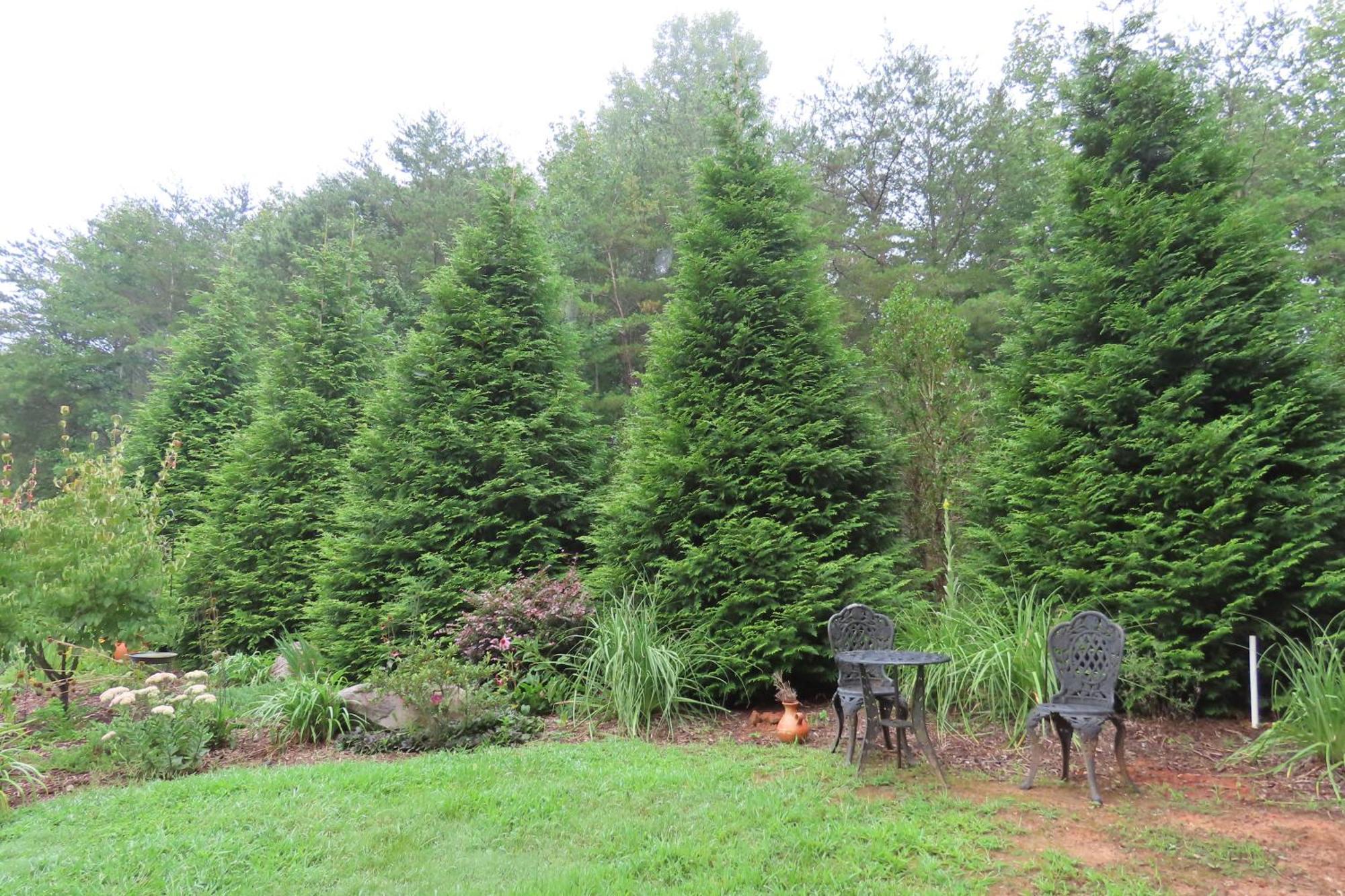 Scenic Fox Ridge Cabin On 4 Acres With Hot Tub! Whittier Luaran gambar